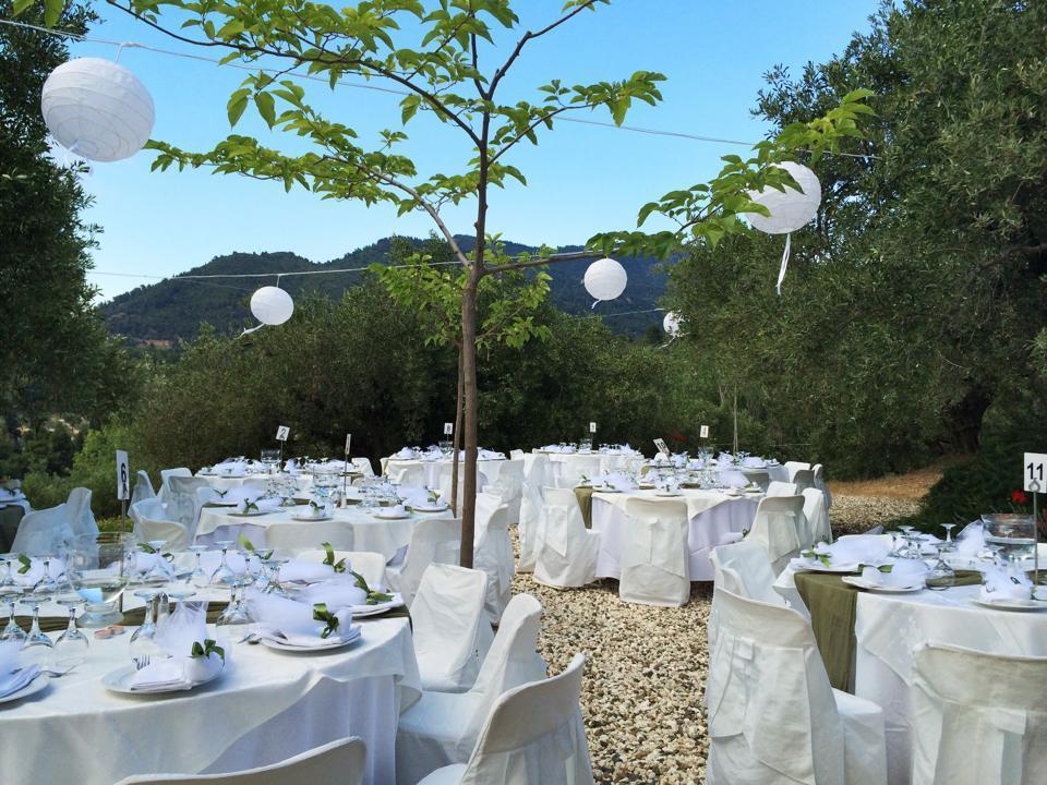 Eleonas Hotel Rovies Exterior photo